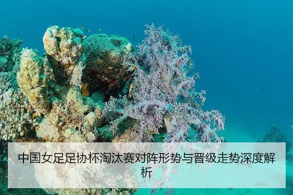 中国女足足协杯淘汰赛对阵形势与晋级走势深度解析